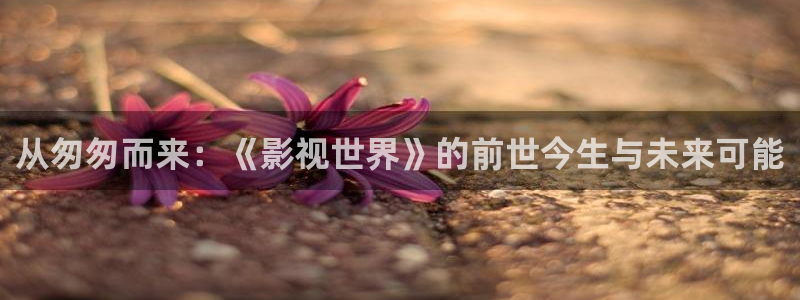 97动漫在线观看视频：从匆匆而来：《影视世界》的前世今生与未来可能