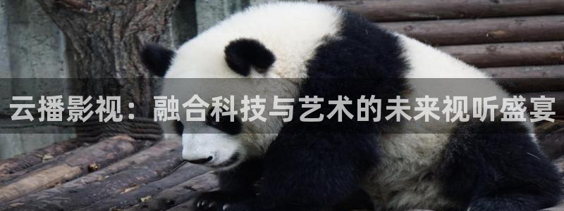 97视频免费公开在线观看：云播影视：融合科技与艺术的未来视听盛宴