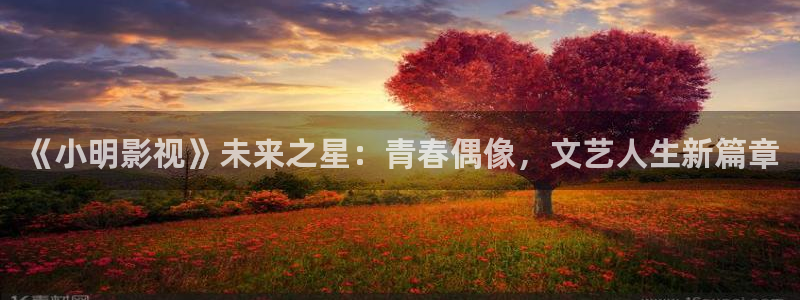 四虎97视频在线观看：《小明影视》未来之星：青春偶像，文艺人生新篇章