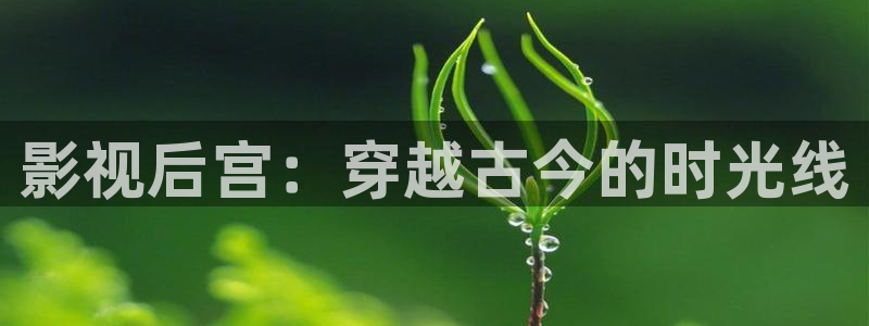 97视频快播：影视后宫：穿越古今的时光线