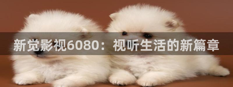 97视频免费观看.：新觉影视6080：视听生活的新篇章