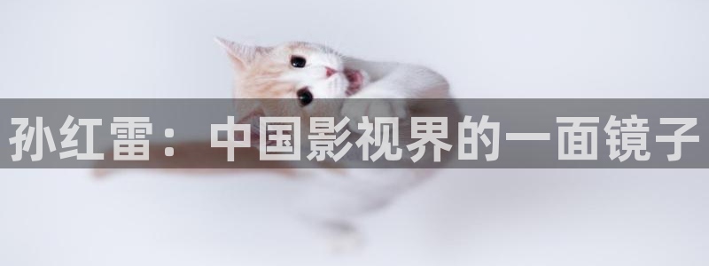 97视频ios：孙红雷：中国影视界的一面镜子