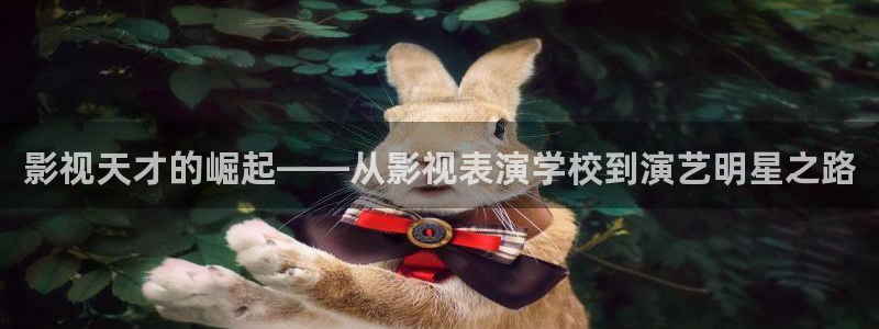 3397影视：影视天才的崛起——从影视表演学校到演艺明星之路