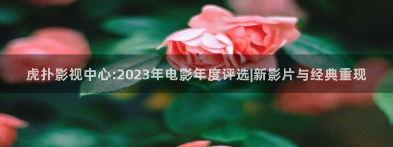 四虎影视m4297：虎扑影视中心:2023年电影年度评选|新影片与经典重现