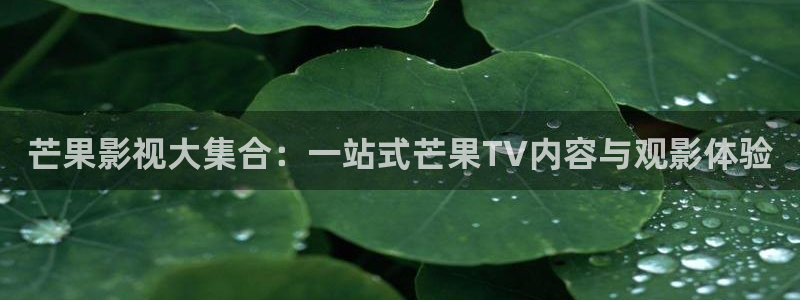 97影院不卡：芒果影视大集合：一站式芒果TV内容与观影体验