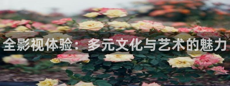 97视频精品观看：全影视体验：多元文化与艺术的魅力