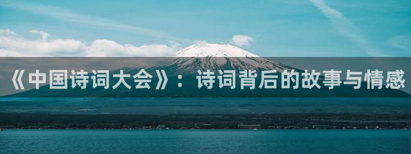 97视频久：《中国诗词大会》：诗词背后的故事与情感
