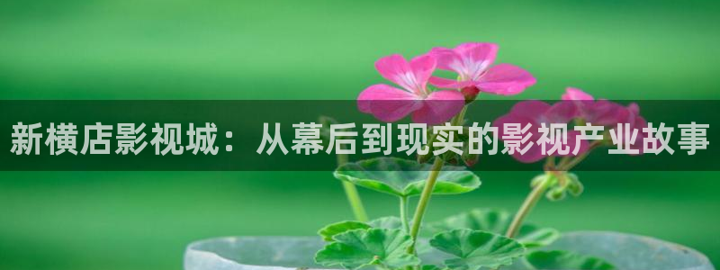 97超碰青青：新横店影视城：从幕后到现实的影视产业故事