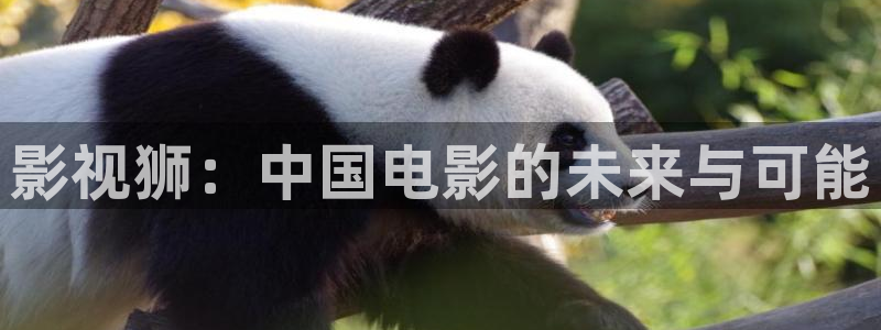 97影院理论片在线观看免费播放：影视狮：中国电影的未来与可能